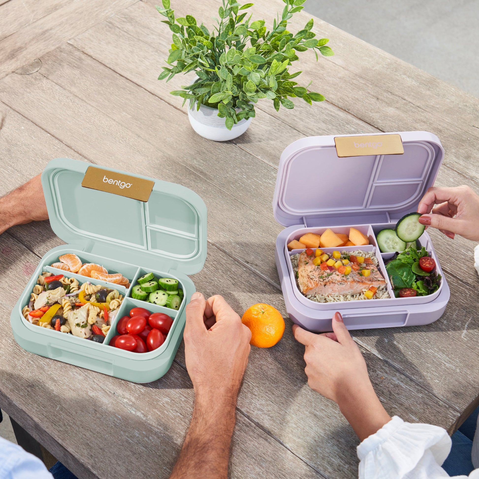bentgo-modern-lunch-box-2-pack-z2 COSTCOBMCPRODUCTIMAGE_2.jpg